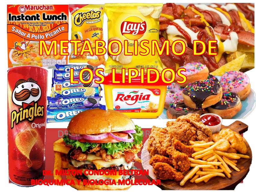 Metabolismo de Lípidos