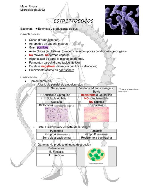 Estreptococos 