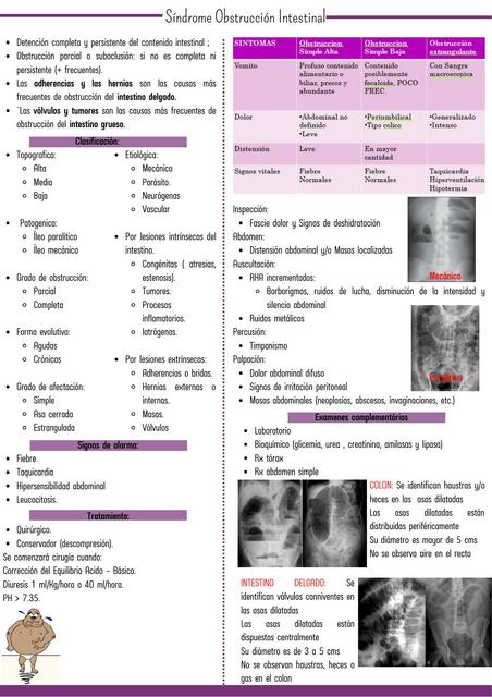 Síndrome Obstrucción Intestinal