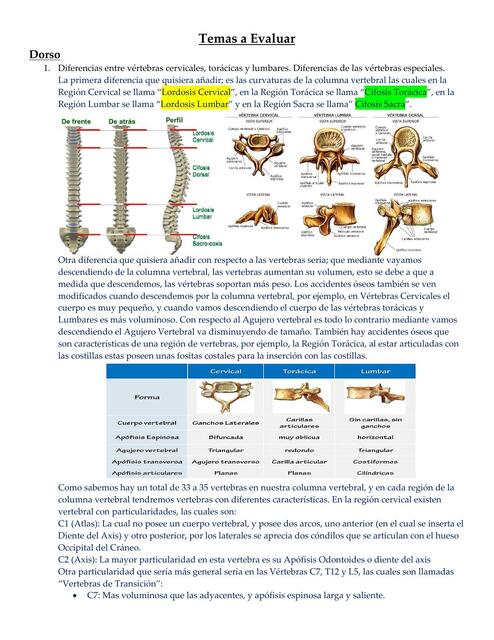 Guia de Locomotor Parcial