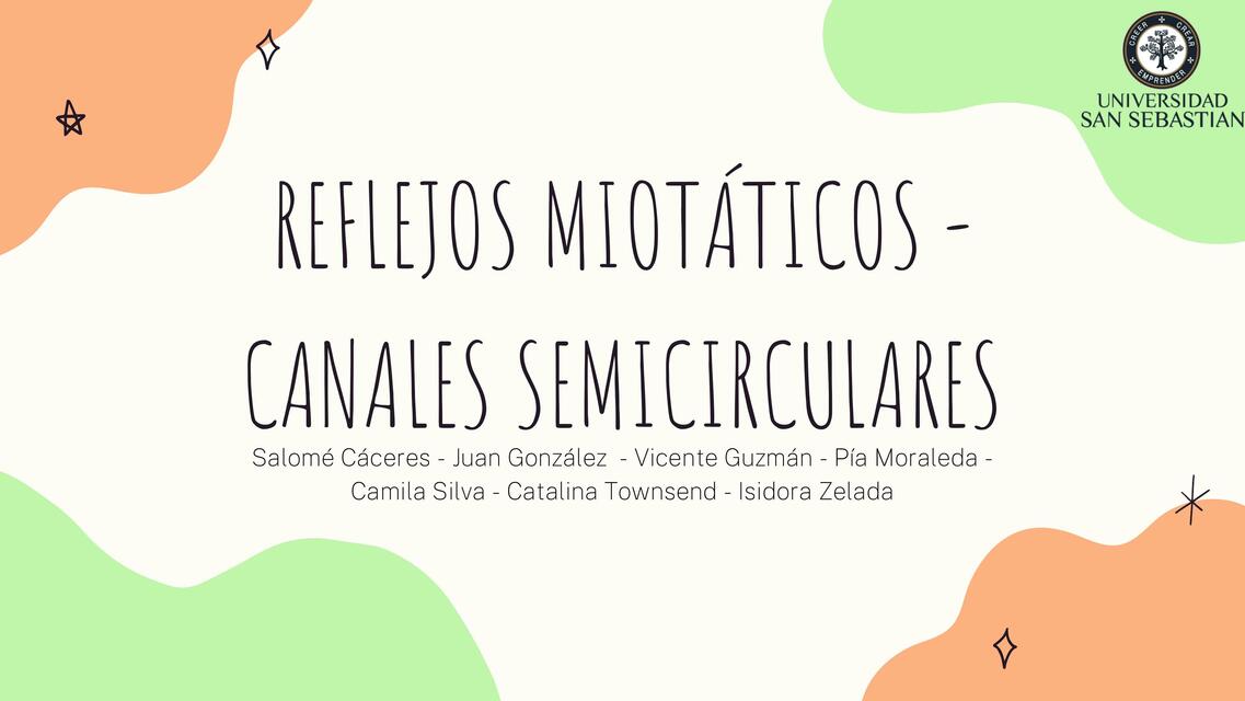 Canalés Miotáticos 