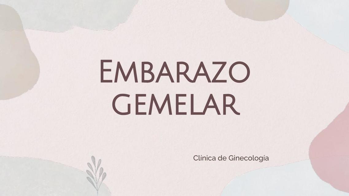 Embarazo Gemelar