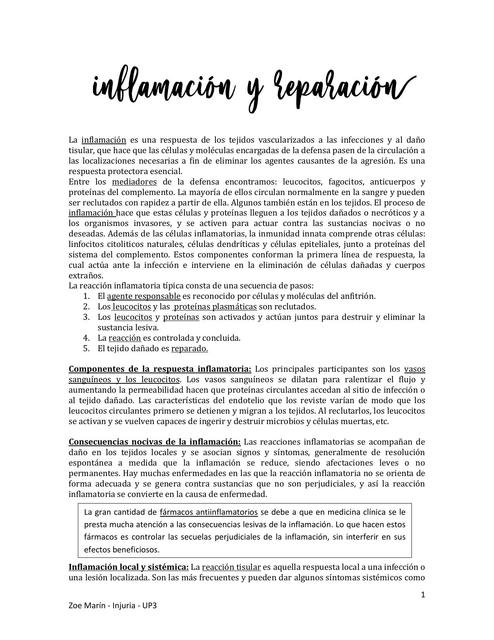 Inflamación y Reparación