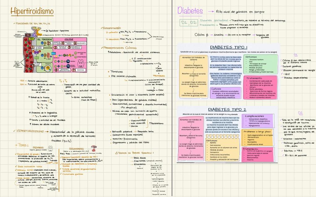 Hipertiroidismo y Diabetes