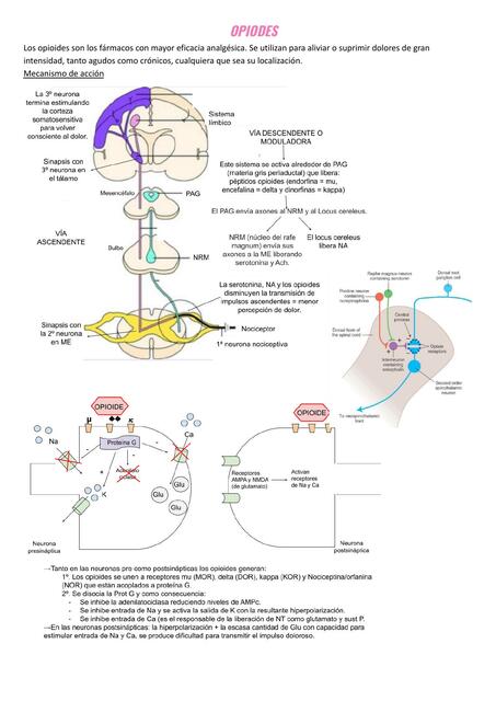 Opioides 
