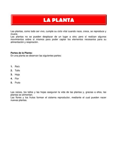 La Planta Para Tercero De Primaria Luz Galan Udocz La Planta Para Tercero De Primaria Luz Galan Udocz
