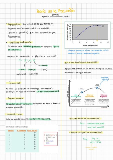 Teoría de la Producción