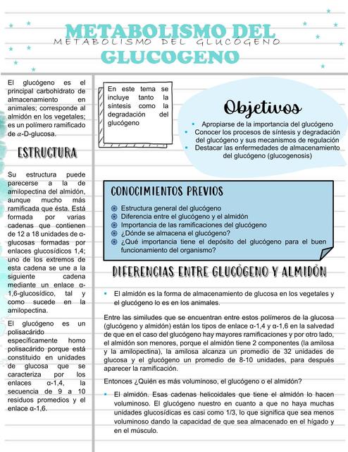 Metabolismo del Glucógeno