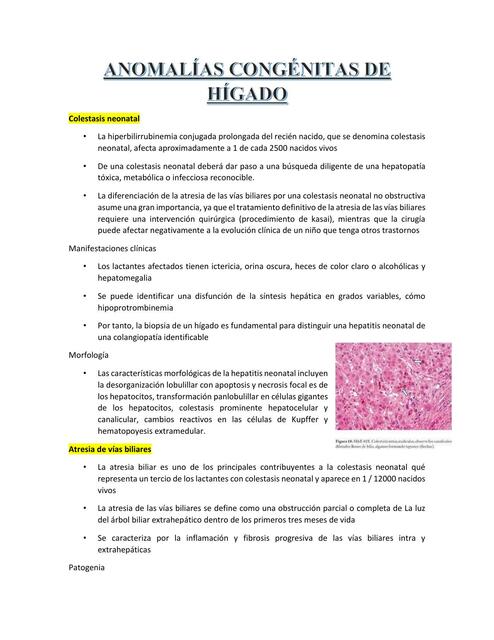 Resumen Patología 2 