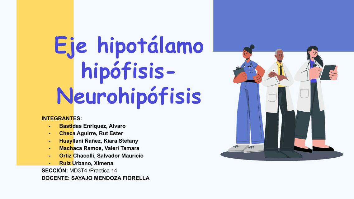 Eje Hipotálamo Hipófisis- Neurohipófisis