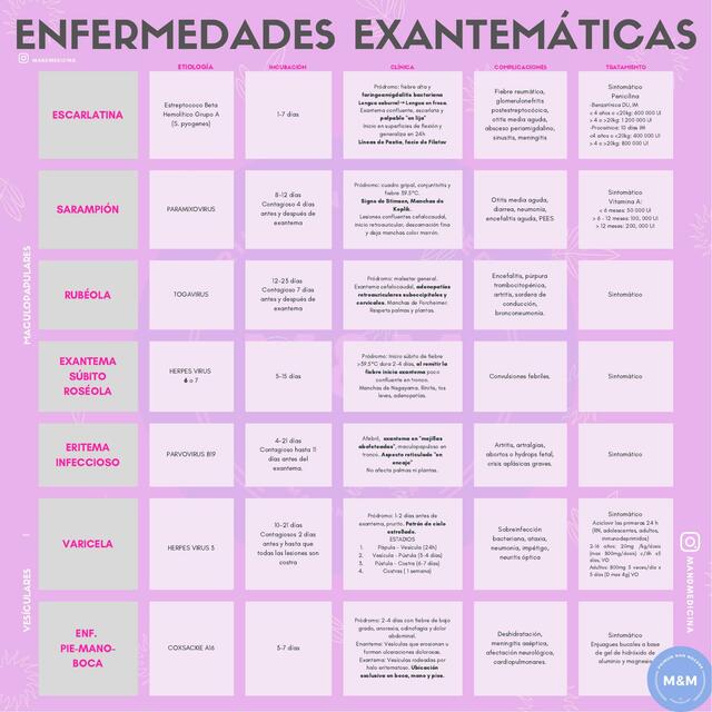 Enfermedades Exantemáticas 