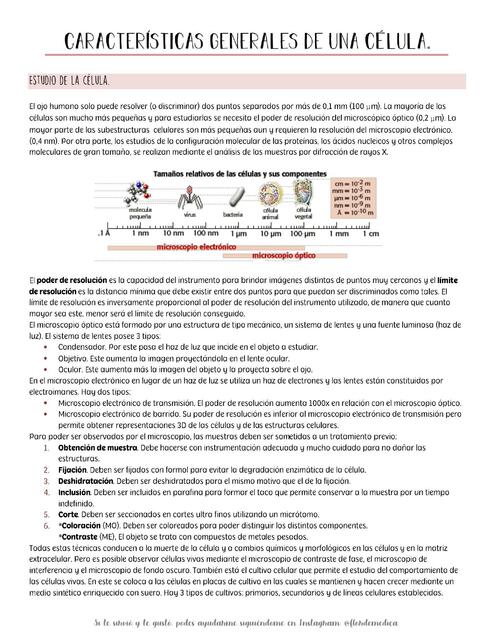 Características generales de una célula