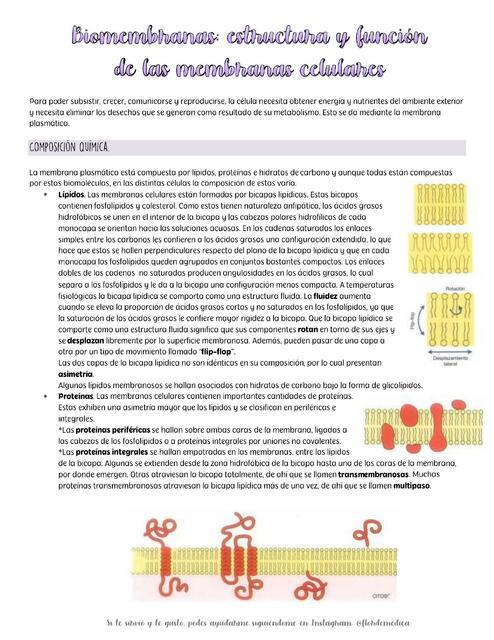 Estructura y función de las membranas celulares