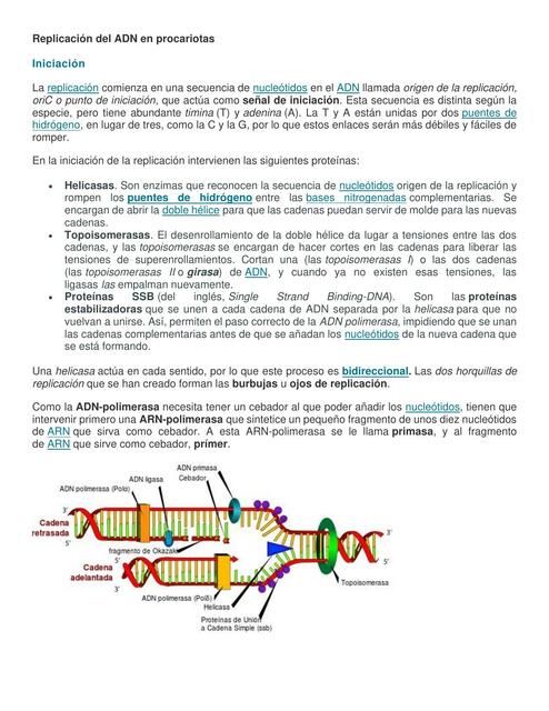 Replicación del ADN en procariotas