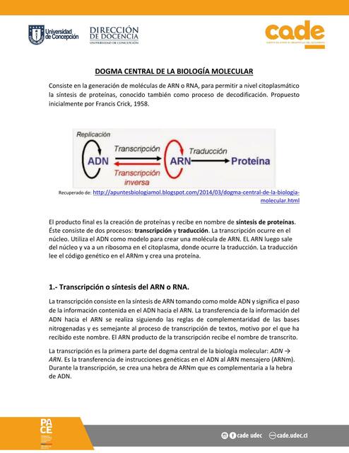 Dogma de la biologia