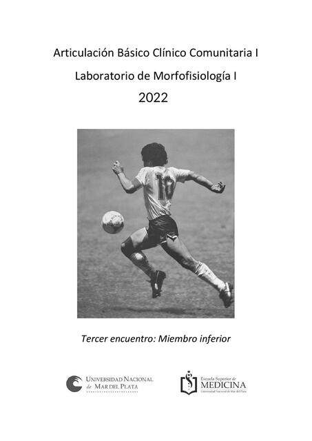 Laboratorio de Morfofisiología Tercer encuentro: Miembro inferior 