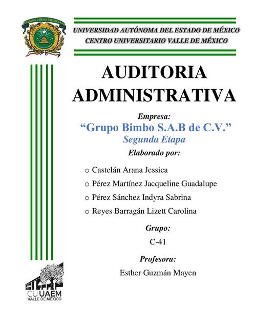 Segunda etapa de auditoria interna