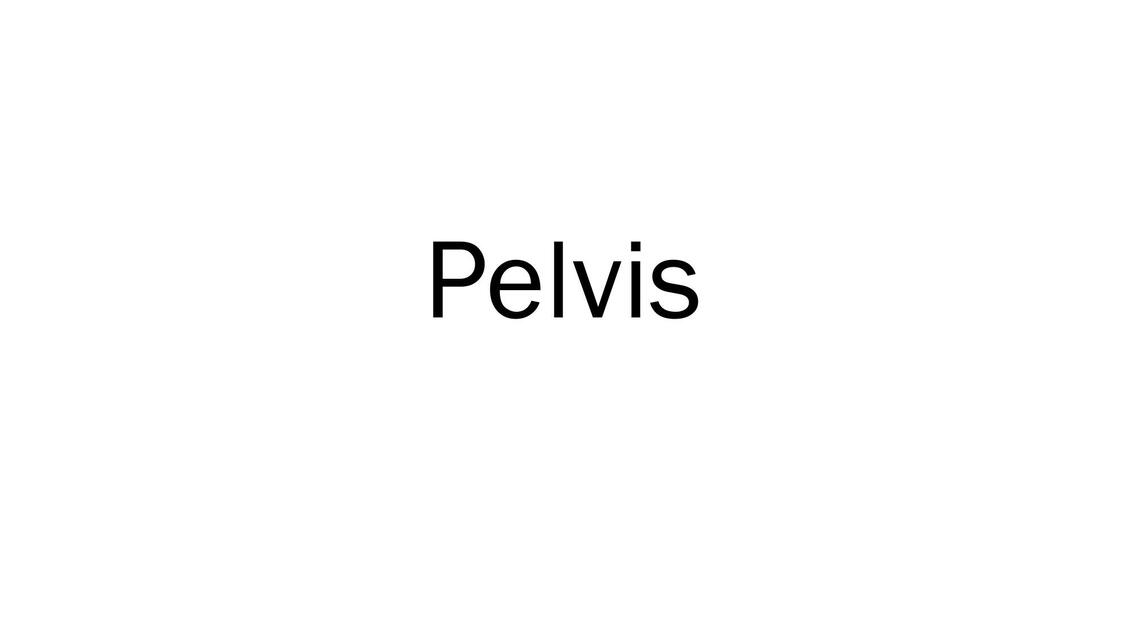 Pelvis