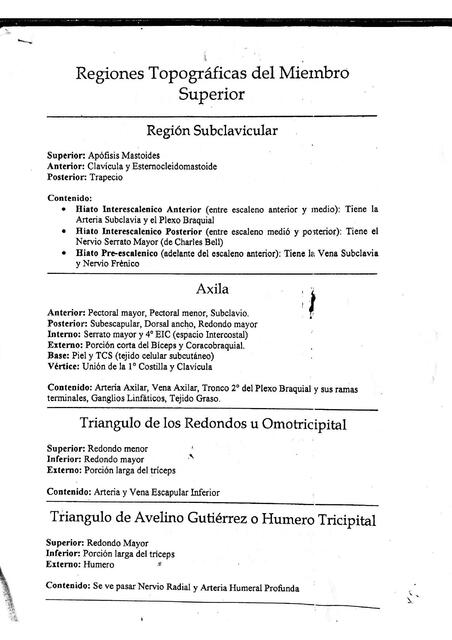 Regiones Topográficas del Miembro Superior 
