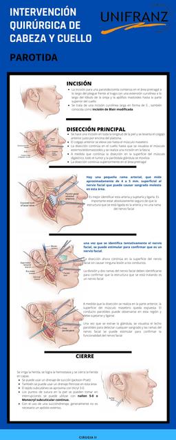 Intervención Quirúrgica de Cabeza y Cuello: Parotida