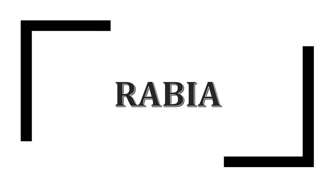 Rabia 