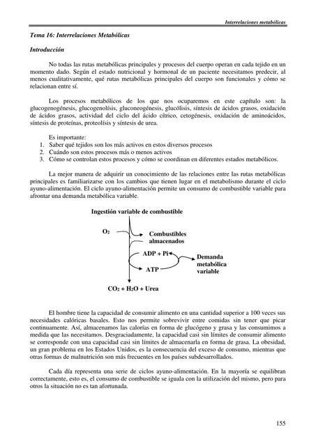 Interrelaciones Metabólicas 