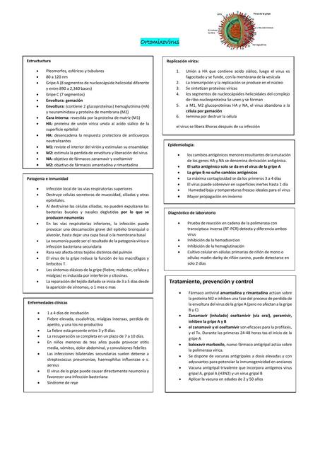 Ortomixovirus