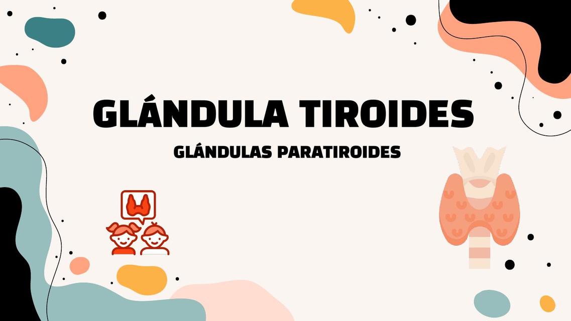 Glándulas Tiroides