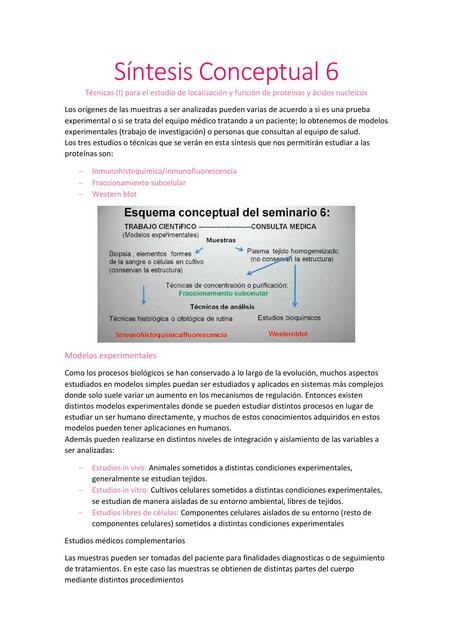 Síntesis Conceptual 6 Biología Celular (Tecnicas I)