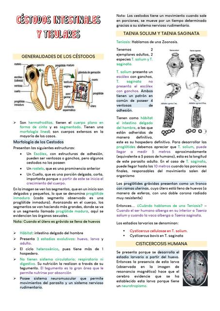 Céstodos Intestinales y Tisulares 