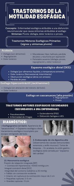 Trastornos de la Motilidad Esofágica 