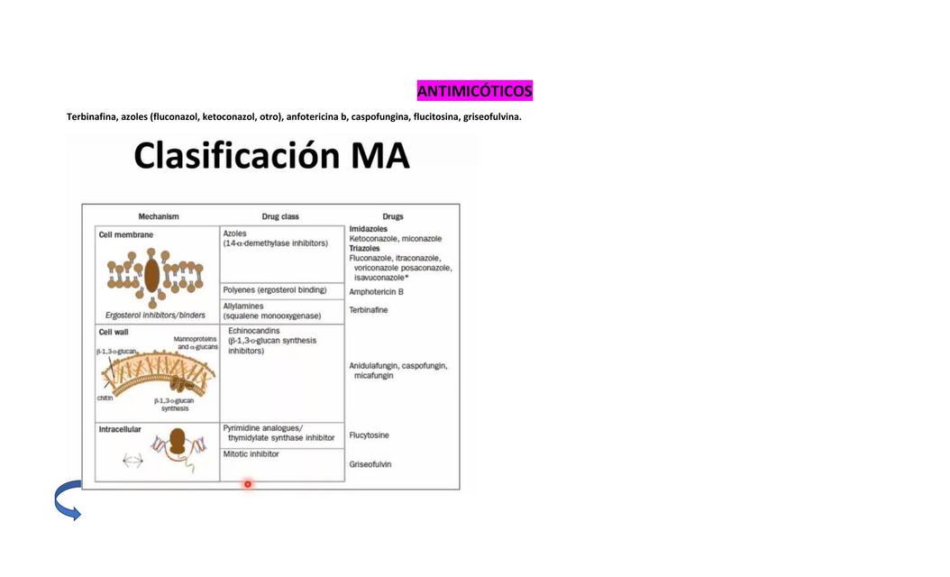 Antimicóticos