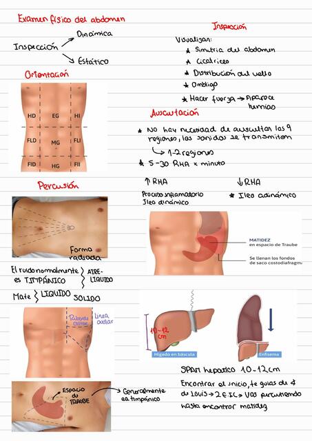 Examen físico gastrointestinal