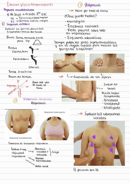 Examen físico del aparato respiratorio