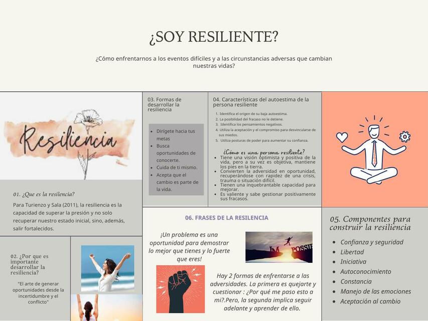 Resiliencia 