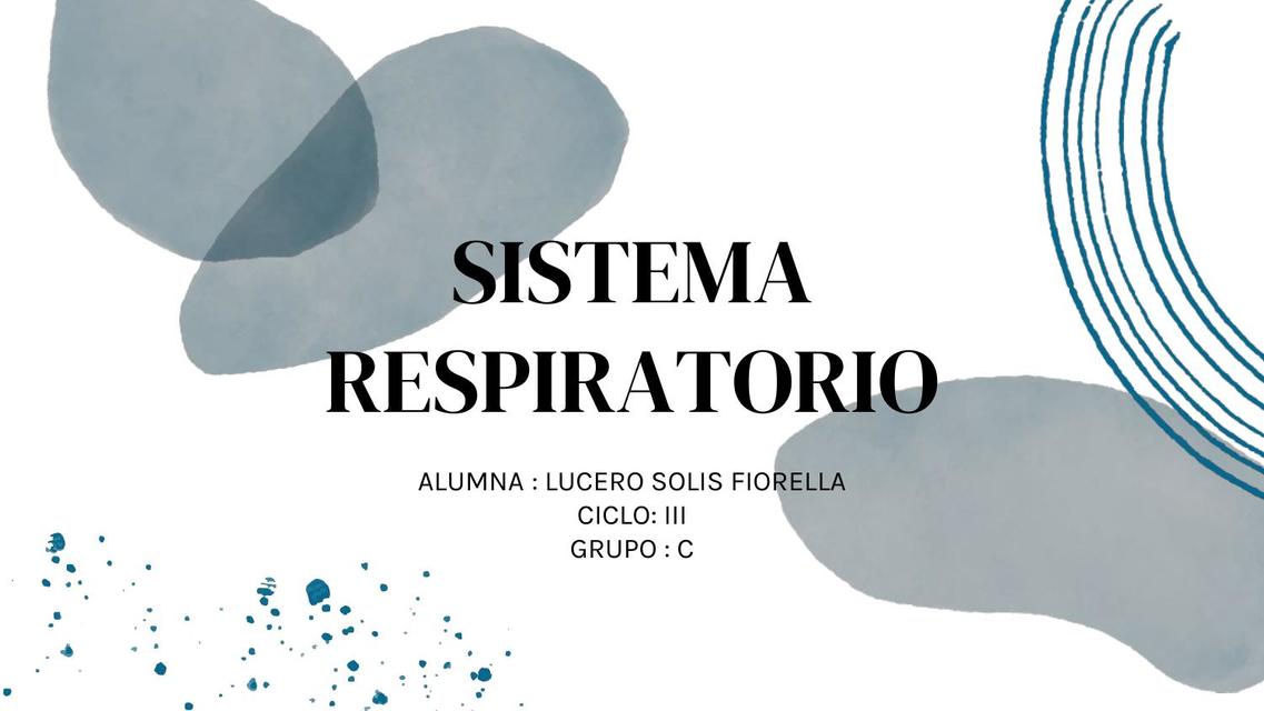 Sistema Respiratorio