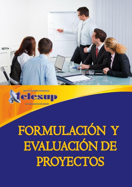 Formulación y Evaluación de Proyectos 