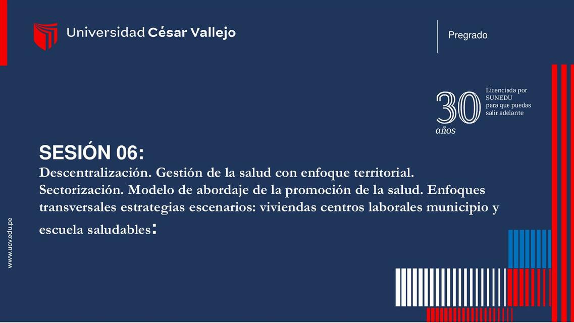 Descentralización. Gestión de la Salud con Enfoque Territorial | GREYS ...