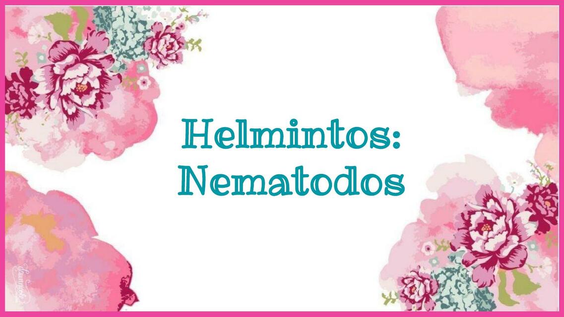 Helmintos: Nematodos 