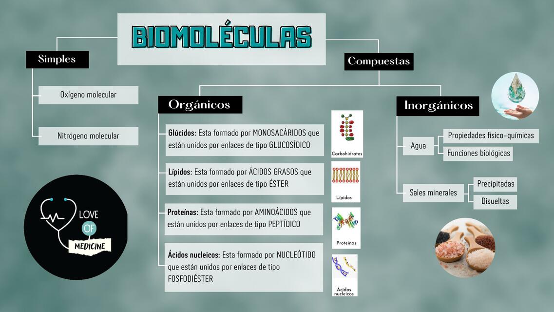 Biomoléculas 