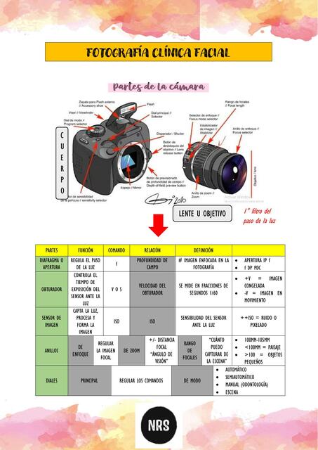 Fotografía clínica