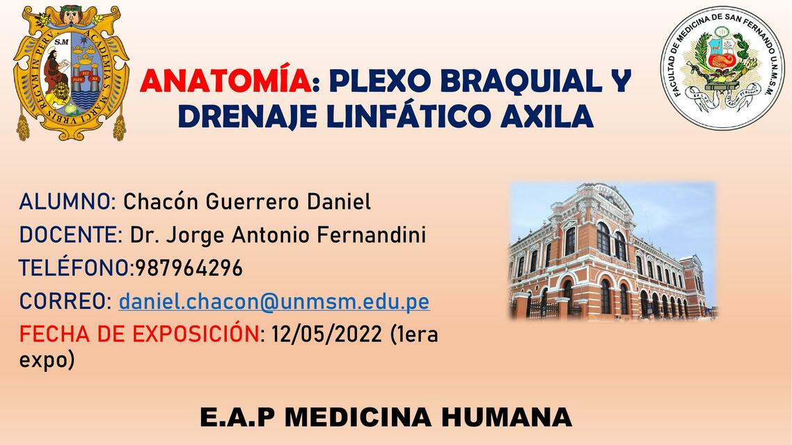 Plexo Braquial - UNMSM (San Marcos) - Medicina Humana - Anatomía