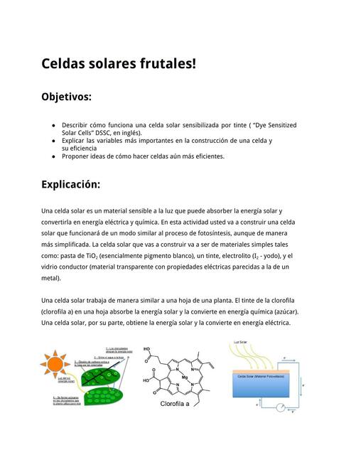 Celdas Solares Frutales 