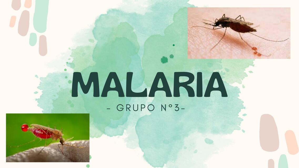 Malaria 