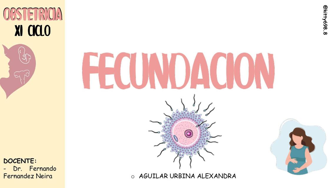 Fecundación 