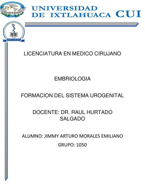 Formación del Sistema Urogenital