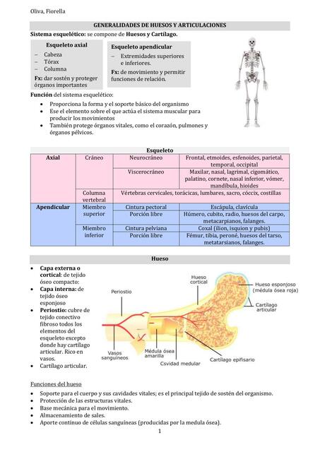 Generalidades de Huesos y Articulaciones