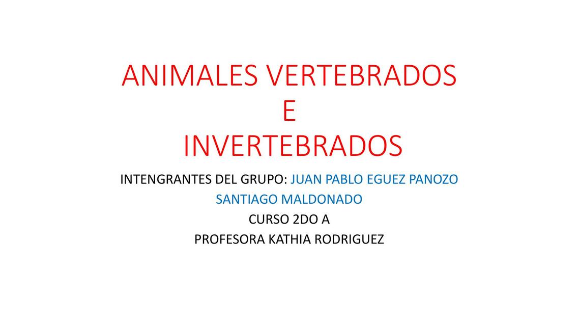 Exposición de Animales Vertebrados