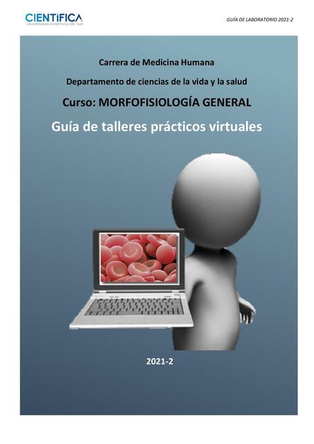 Guía de talleres prácticos virtuales 