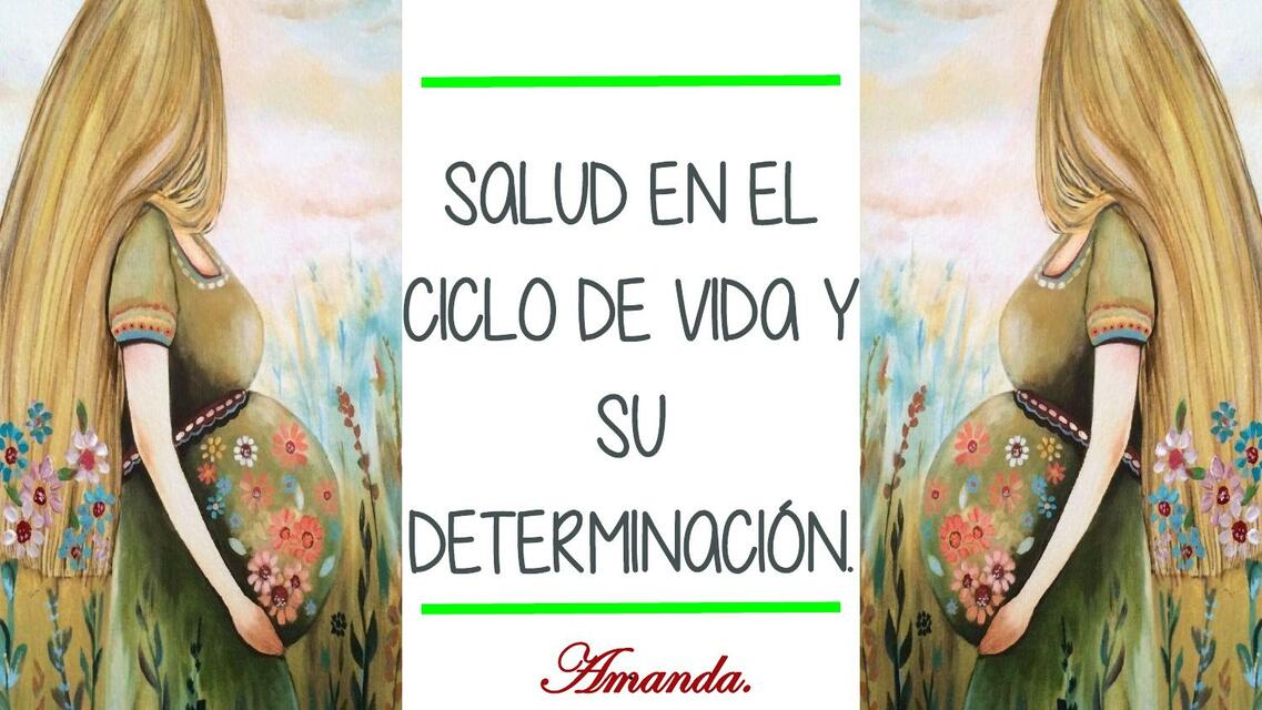 Salud en el Ciclo de Vida y su Determinación 